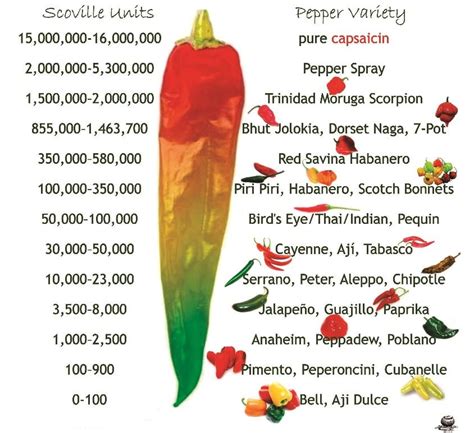 Serrano Pepper Scoville - Taka Vegetable