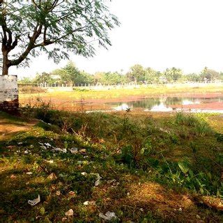 The Motijheel lake water is used for regular household chores ...