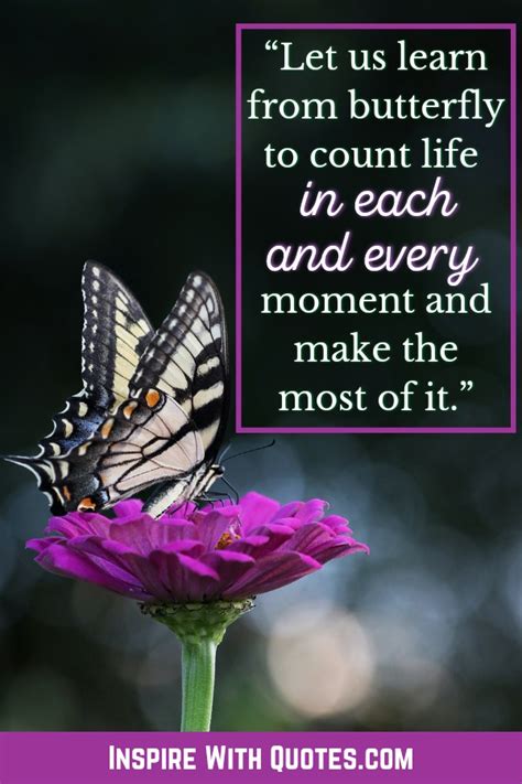 35+ Short Butterfly Quotes that you'll absolutely love - Inspire with ...