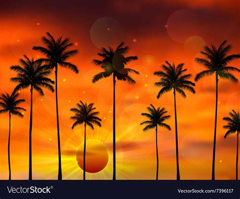 Sunset Palm Tree Silhouette