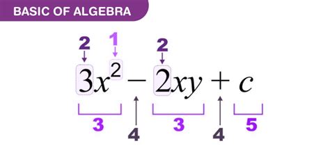 Basics Of Algebra - Equations, Expressions, Examples and Formulas