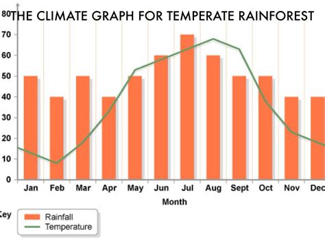 Tropical Rainforest Climate Graph