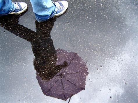 puddle reflection by Mustardplz on DeviantArt