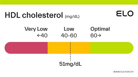 HDL Cholesterol: 51 mg/dL