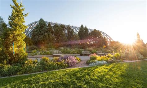 Denver Botanic Gardens - Denver Botanic Gardens | Groupon