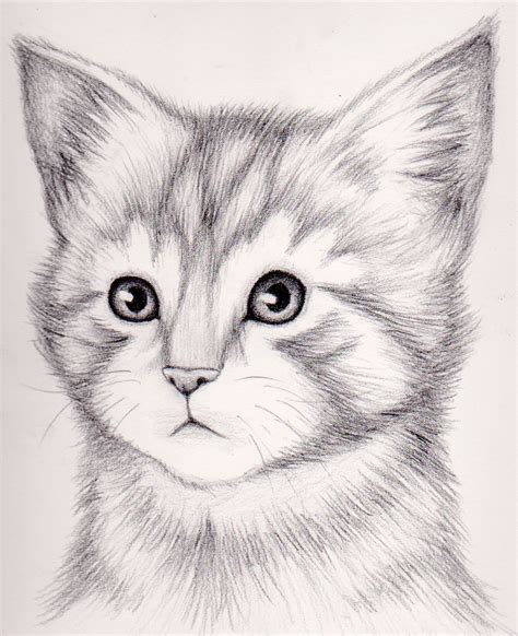 How to draw a realistic kitten - Draw realistic kitten - Realistic ...