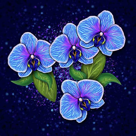 Blue Orchid Flower Painting Digital Art by Shannon Smith - Pixels