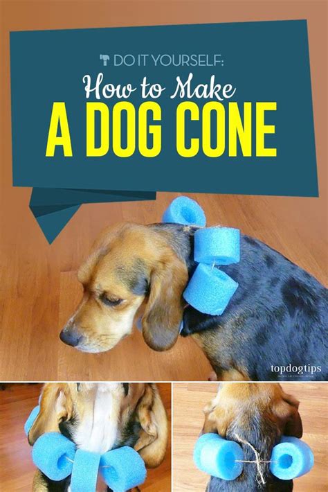 How to Make a Dog Cone - A Simple DIY Guide