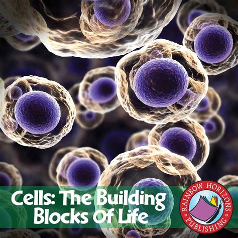 Cells: The Building Blocks of Life - Grades 7 to 8 - eBook - Lesson ...