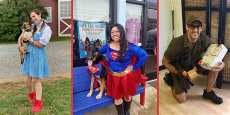 16 Best Dog and Owner Halloween Costumes to Win Contests!