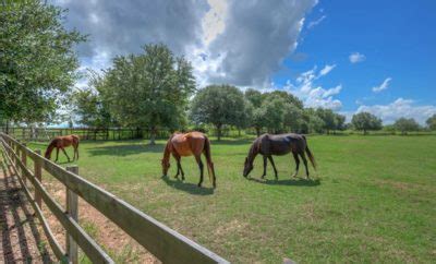 O'Connor Family Ranch Archives - Texas Hill Country