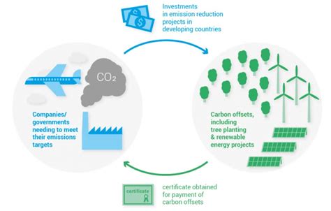 What is carbon offsetting? How does it work? — Hamerkop - your climate ...