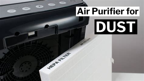 Best Air Purifier To Remove Dust Mites at David Withers blog