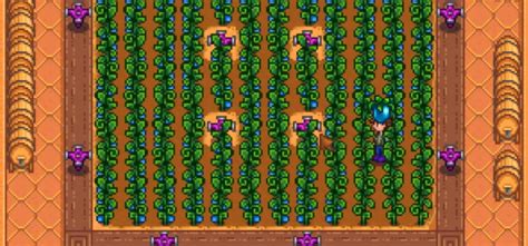 Top 5 Most Profitable Crops for the Greenhouse (Stardew Valley ...