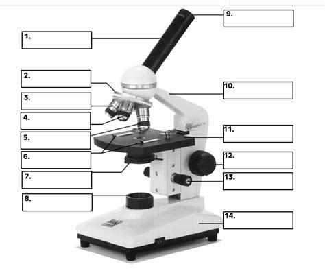 Parts Of A Microscope Diagram