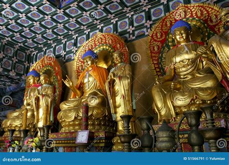 The Shaolin Temple of Buddha Editorial Photo - Image of tallinn, door ...