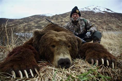 Brown Bear Hunting Gallery | Arctic North Guides