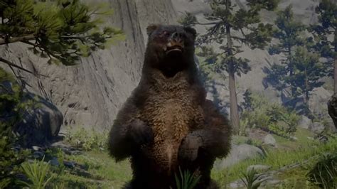 Perfect grizzly bear pelt rdr2