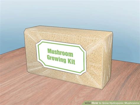 How to Grow Hydroponic Mushrooms: 14 Steps (with Pictures)