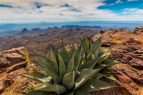 Chihuahuan Desert Map