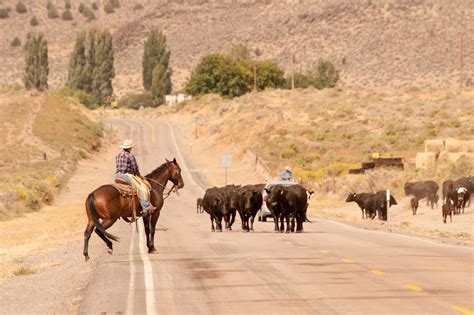 10 Stunning Scenic Drives in Oregon • Small Town Washington