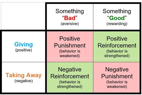 Operant Conditioning Involves a Learned Association Between