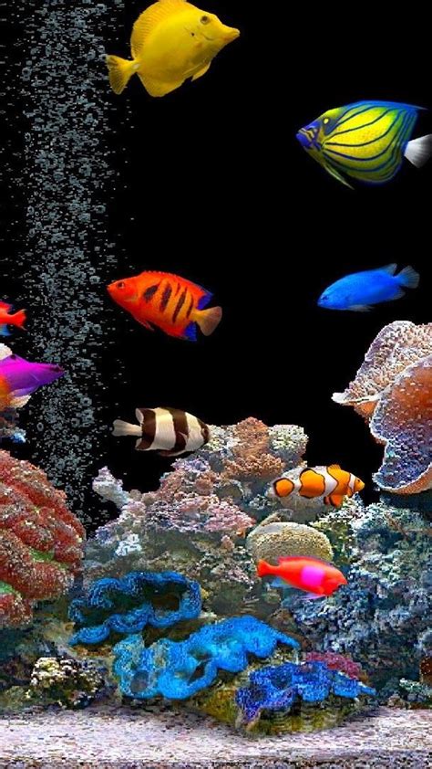 Colorful fishes in the aquarium Wallpaper Download 720x1280