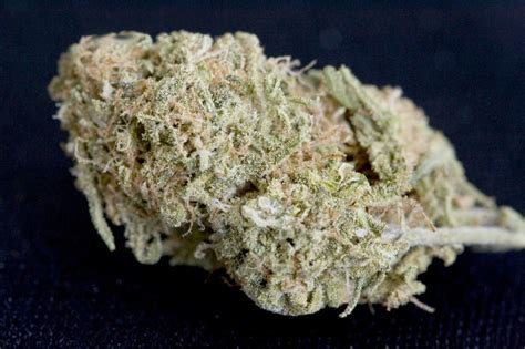 Sticky Icky OG Kush | Marijuana Strain Reviews | AllBud