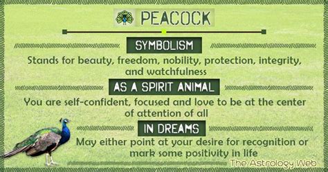 Peacock Symbolism: Beauty, Freedom, and Protection