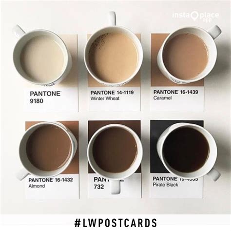 Postcard Coffe Pantone | Pantone, Coffee colour, Minimalist house design