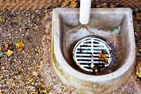 What to Do If You Find Your Outside Drain Clogged - Make it Mowery