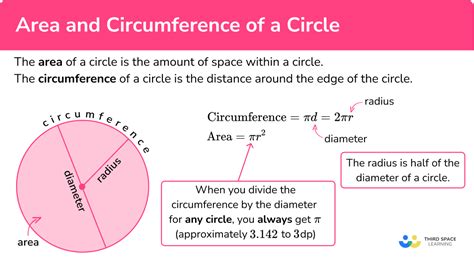 Area And Circumference Of A Circle - GCSE Maths Guide