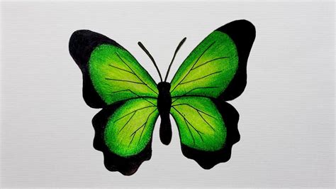 How To Draw a Butterfly Step by Step || Drawing butterfly - YouTube