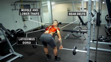 The Ultimate Guide On How To Do Barbell Rows To Build A Bigger Back