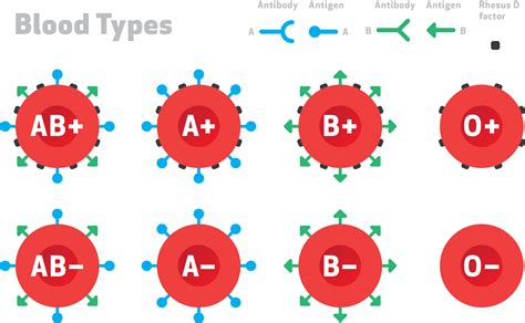 How many possible blood antigen combinations are there? | Socratic