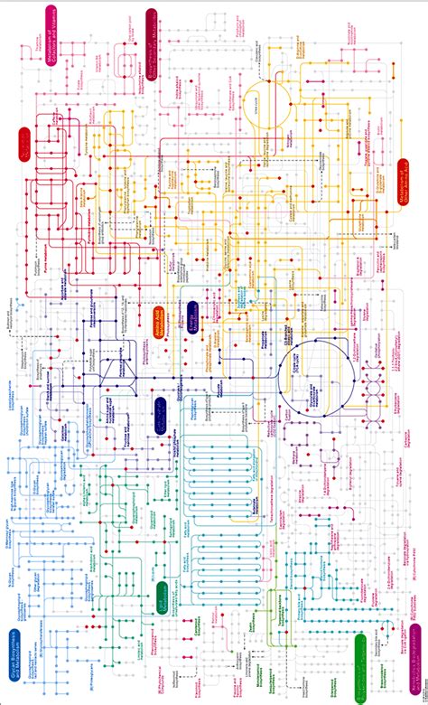 Kegg Pathway Metabolic Pathways Reference Pathway Pharmaceutical ...