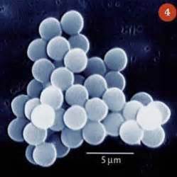 Sonochemistry - beyond synthesis | Feature | RSC Education