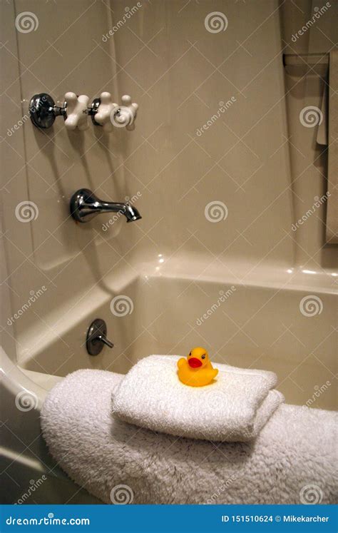 Rubber duck stock photo. Image of tiles, toilet, room - 151510624