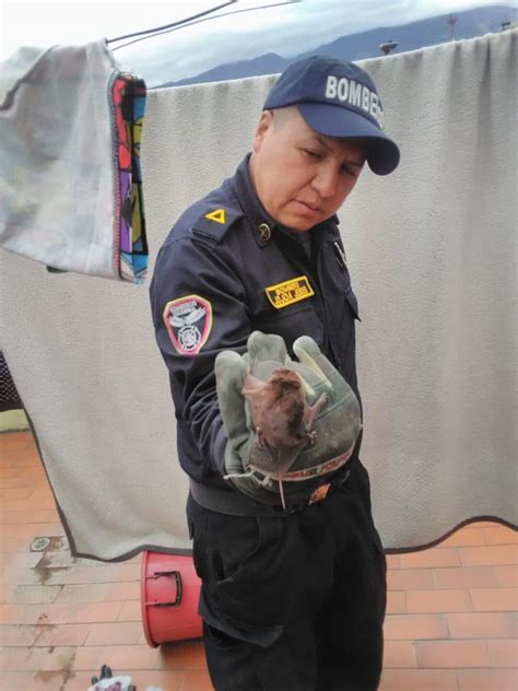 “No solo protegemos la vida humana, también la de los animales ...