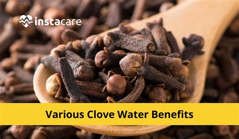 Various Clove Water Benefits To Know About