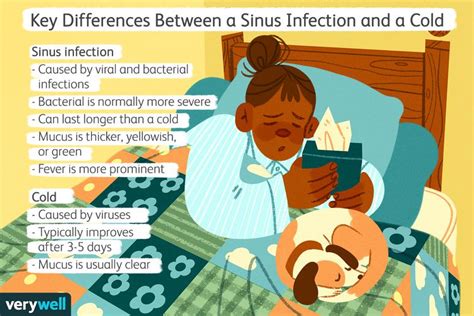 Sinus Infection vs. Cold: How to Tell the Difference