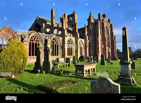 Ruins of Melrose Abbey, Scottish Borders, UK Stock Photo - Alamy