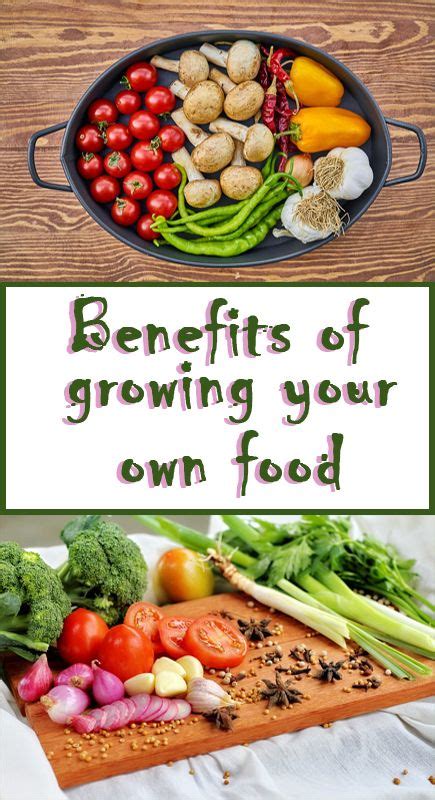 Benefits of growing your own food | Food, Healthy breakfast, Healthy