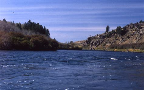 Floating the Henry's Fork between Warm River and Ashton | Yellowstone ...