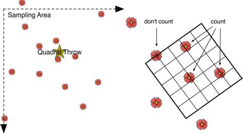 The quadrat method. A quadrat is tossed within a sampling area, and ...