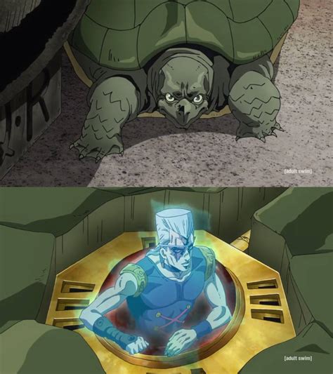 Jojo Polnareff in the Turtle by Mdwyer5 on DeviantArt