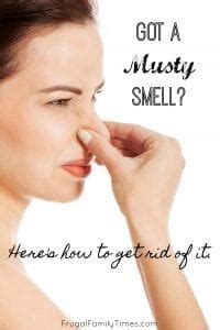 How To Get Rid Of Musty Smells In Cabins, Basements And More ~ 11 ...