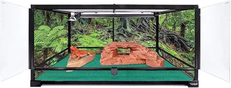 Reptile Terrarium: Best Tanks, Buying Guide, Setup Ideas & More ...