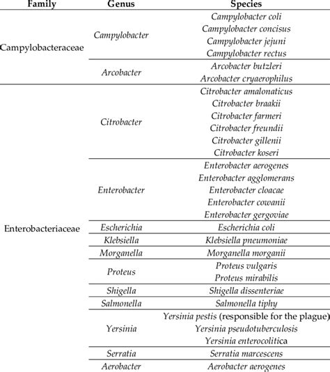 Examples of Gram-negative bacteria. | Download Scientific Diagram