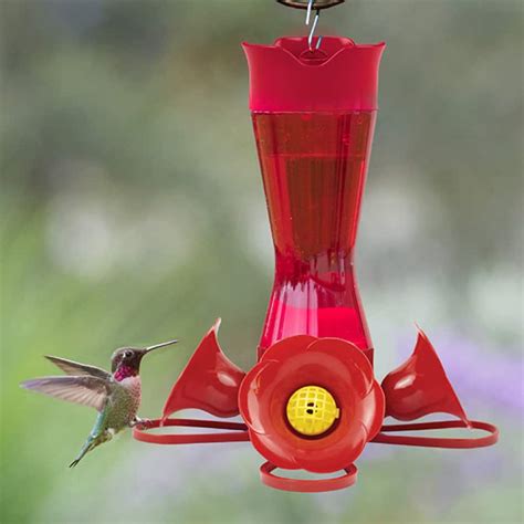 Perky-Pet Our Best Red Base Glass Hummingbird Feeder - 30 oz. Capacity ...